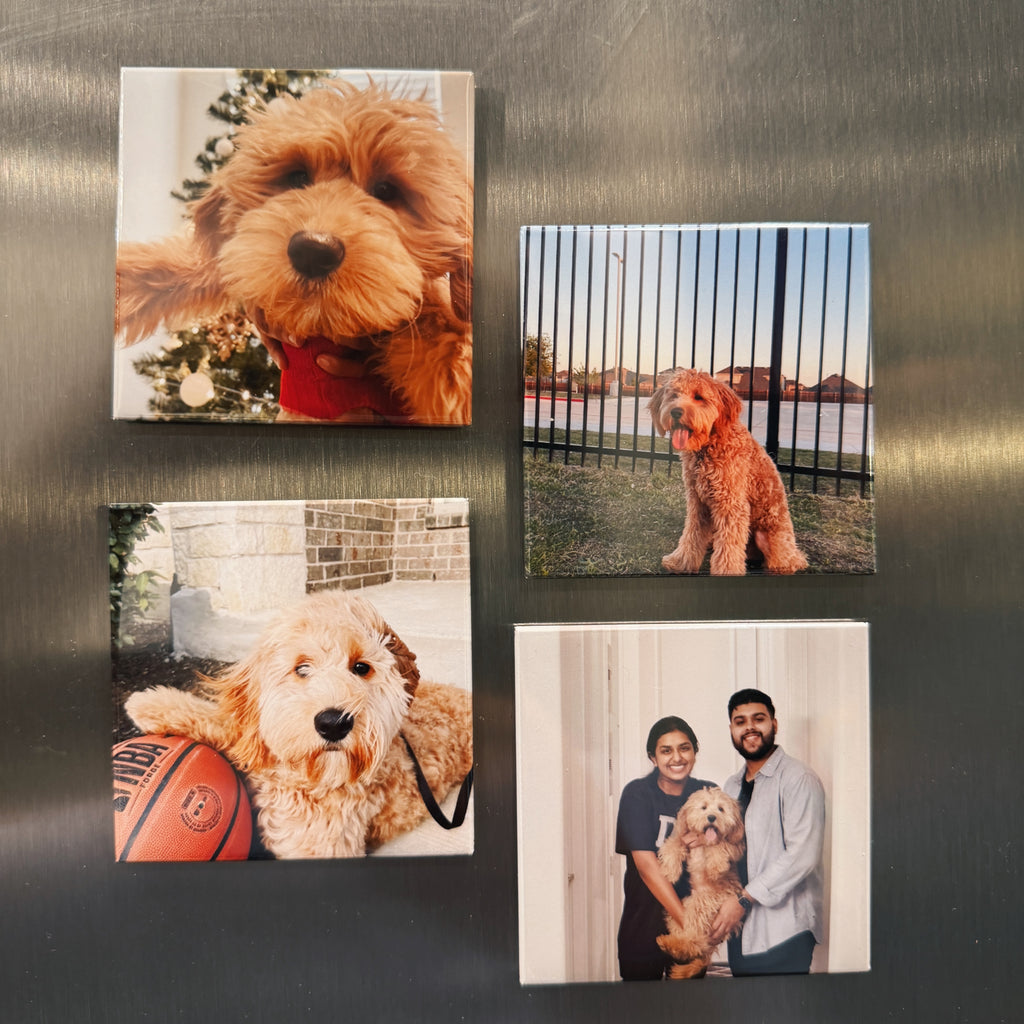 Custom Photo Magnets